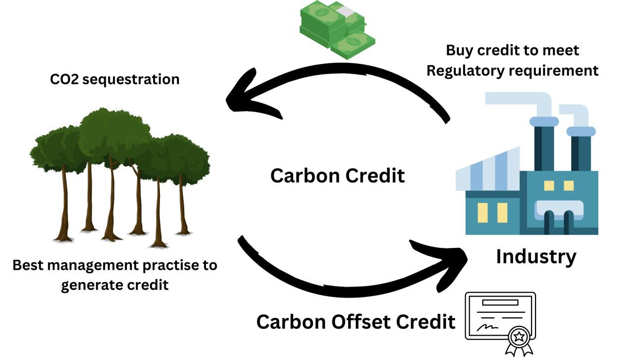 AI in Carbon Credit Verification