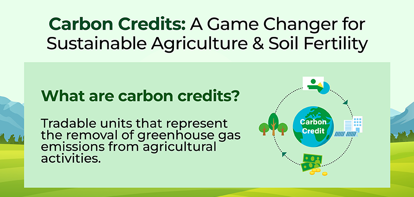 Farmer's Guide to Carbon Credits