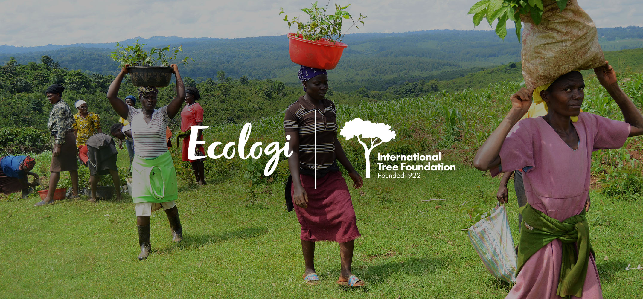Kakamega Forest Project