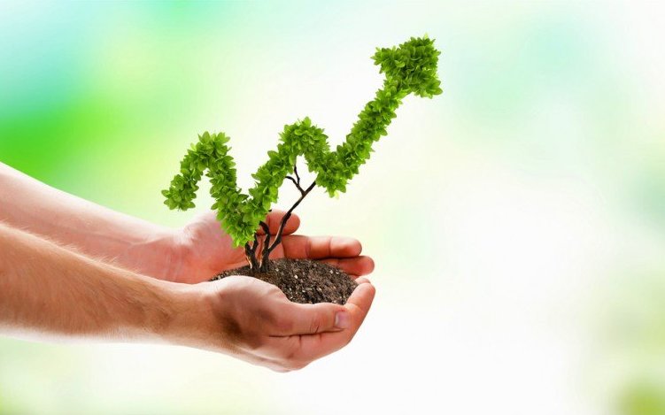 Tips for Businesses